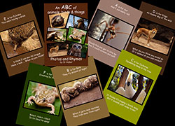 An ABC of Animals, Birds and Things