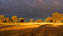 After the Storm