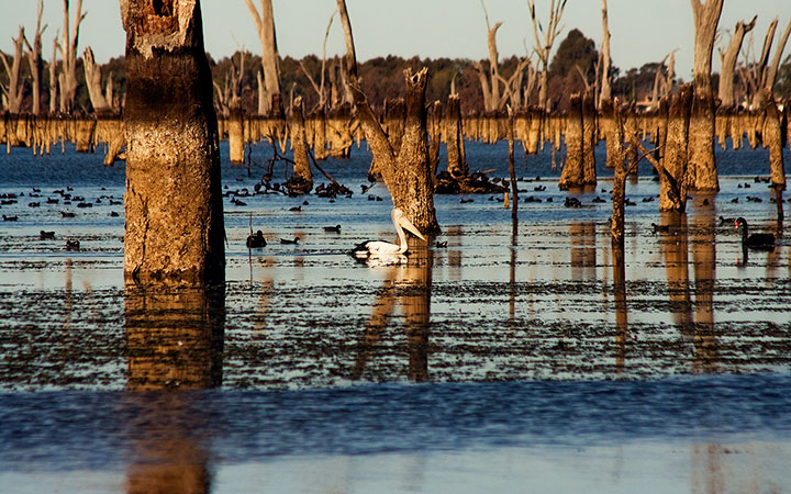 Lake Mulwala
