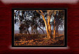 Landscapes