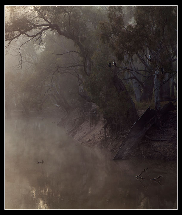 Morning Mist on the Creek